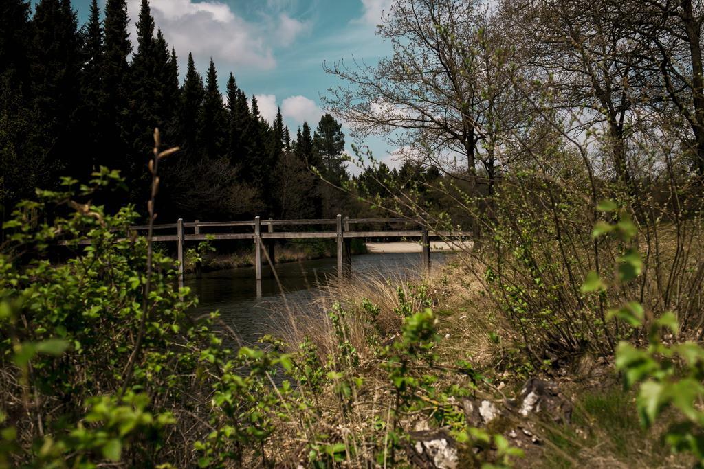 Rheezerstee Panzió Kültér fotó